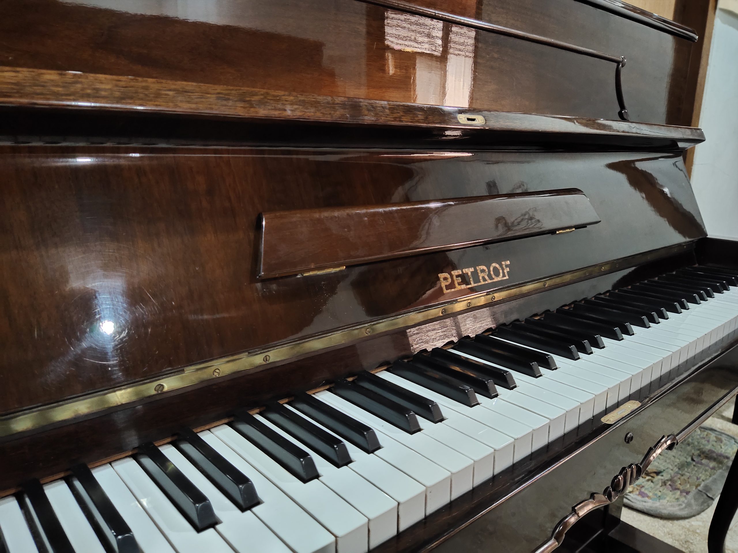 Harga piano petrof deals